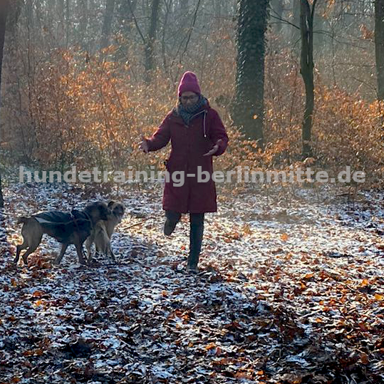 Mit Wanda und Piko im Plänterwald
